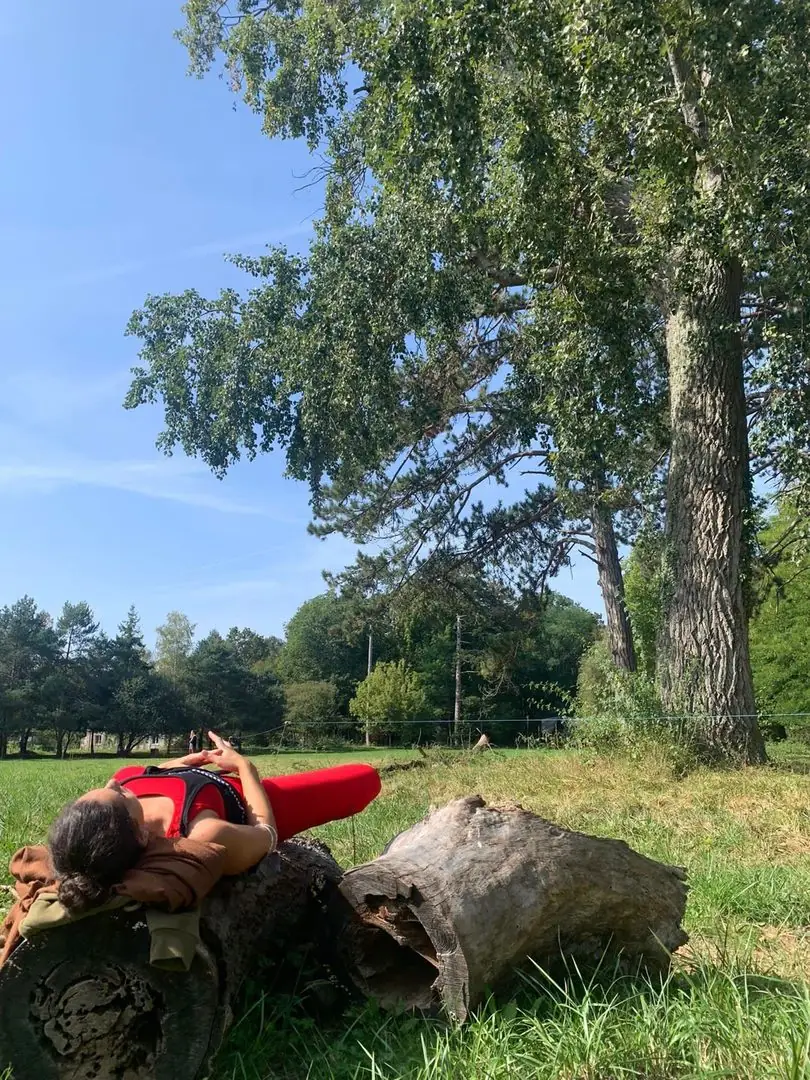 Moment de détente allongée dans l'herbe, sous un grand arbre